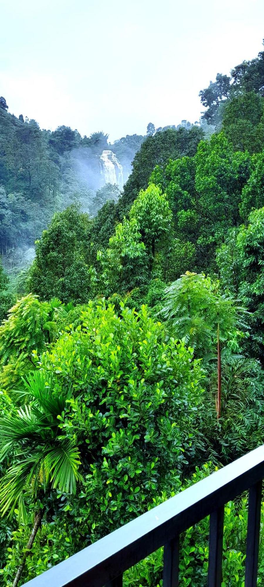 Ever Green Mount Элла Экстерьер фото